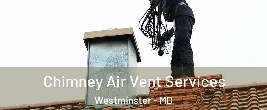  Chimney Air Vent Services Westminster - MD