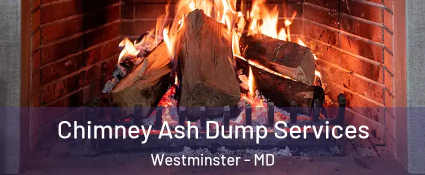  Chimney Ash Dump Services Westminster - MD