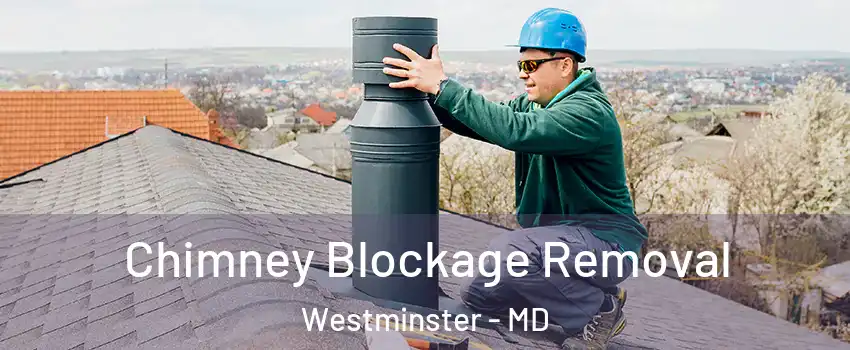  Chimney Blockage Removal Westminster - MD