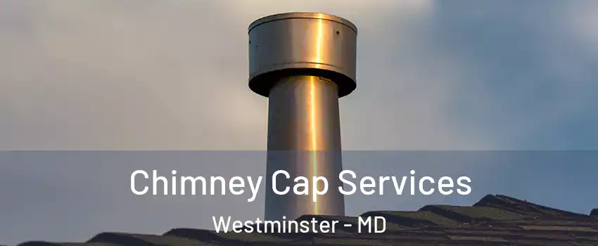  Chimney Cap Services Westminster - MD