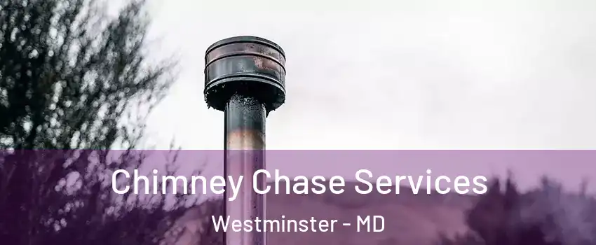  Chimney Chase Services Westminster - MD