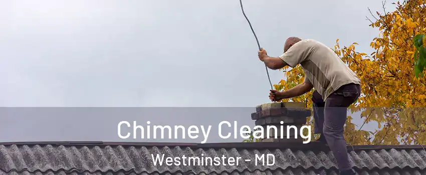  Chimney Cleaning Westminster - MD