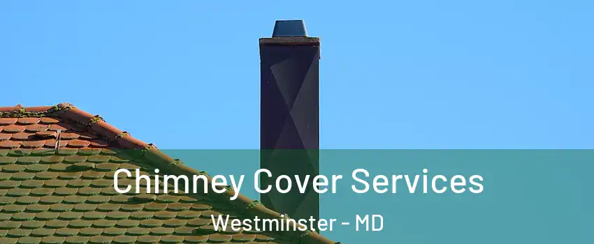  Chimney Cover Services Westminster - MD