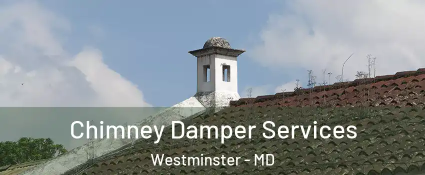  Chimney Damper Services Westminster - MD