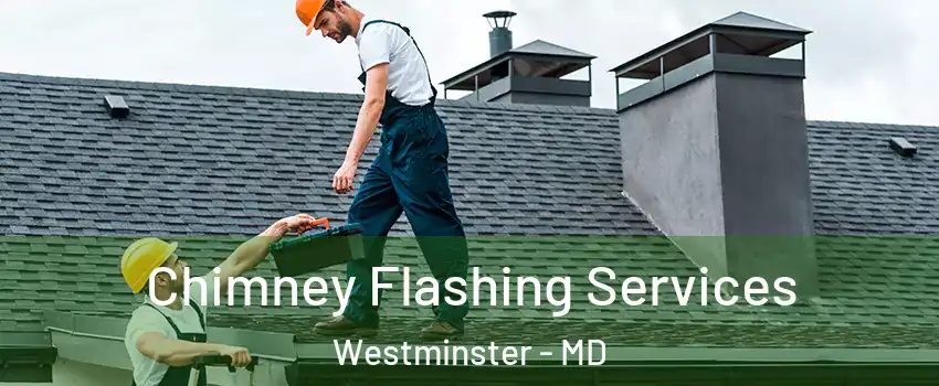  Chimney Flashing Services Westminster - MD