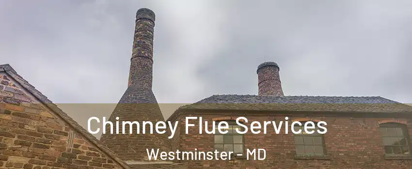  Chimney Flue Services Westminster - MD