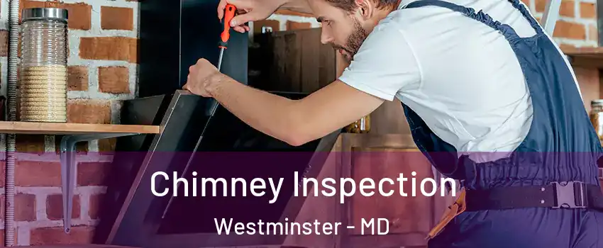  Chimney Inspection Westminster - MD