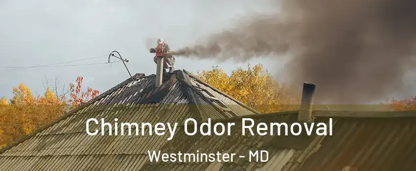  Chimney Odor Removal Westminster - MD