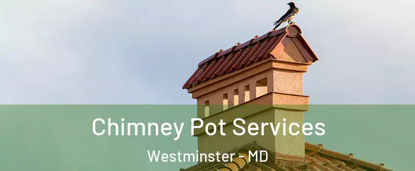  Chimney Pot Services Westminster - MD