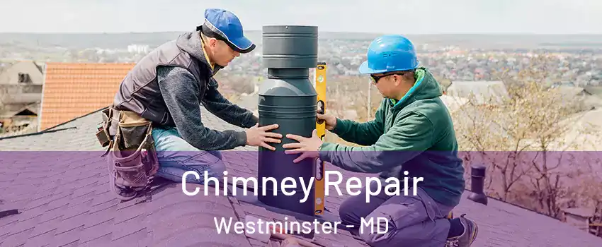  Chimney Repair Westminster - MD