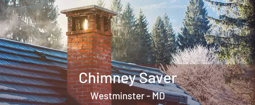  Chimney Saver Westminster - MD