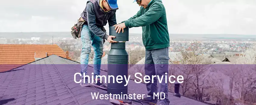  Chimney Service Westminster - MD