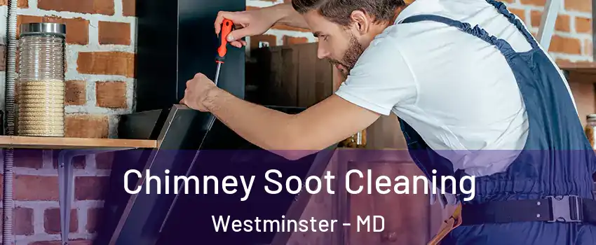  Chimney Soot Cleaning Westminster - MD