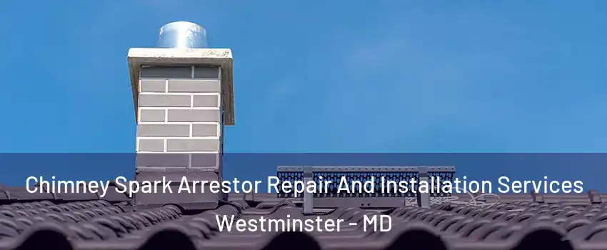  Chimney Spark Arrestor Repair And Installation Services Westminster - MD