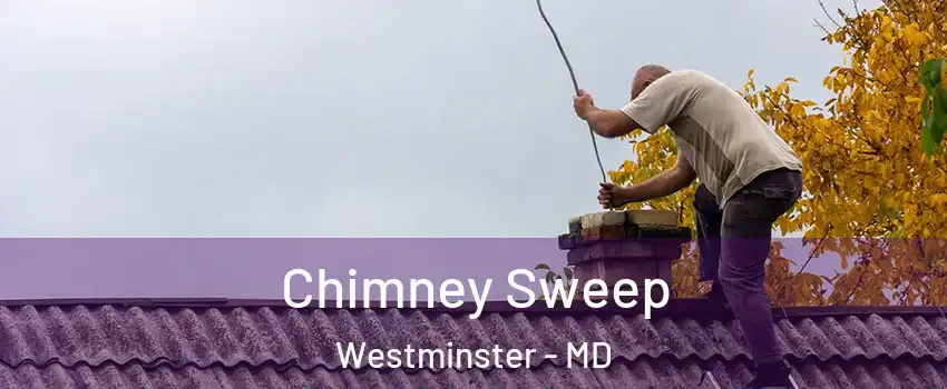  Chimney Sweep Westminster - MD