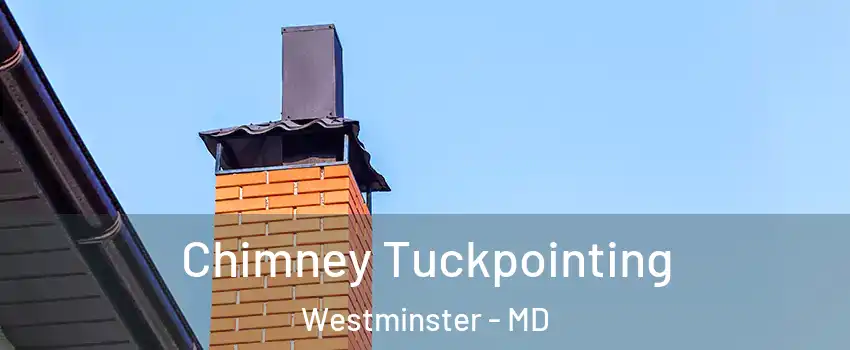  Chimney Tuckpointing Westminster - MD