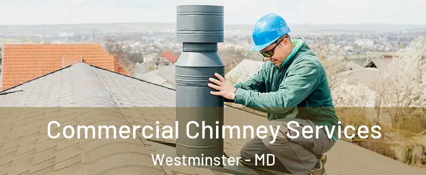  Commercial Chimney Services Westminster - MD