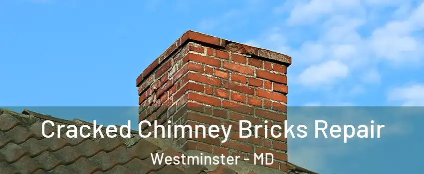  Cracked Chimney Bricks Repair Westminster - MD