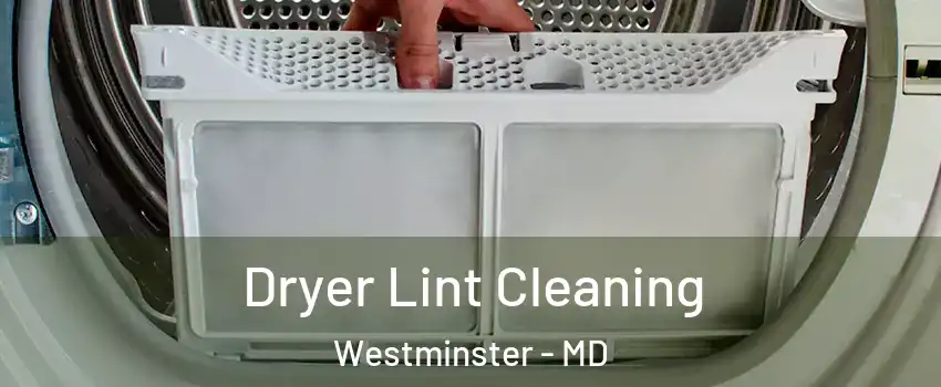  Dryer Lint Cleaning Westminster - MD