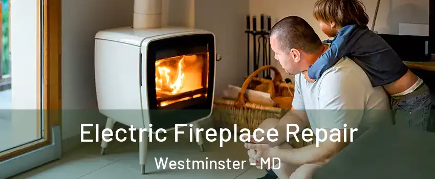  Electric Fireplace Repair Westminster - MD