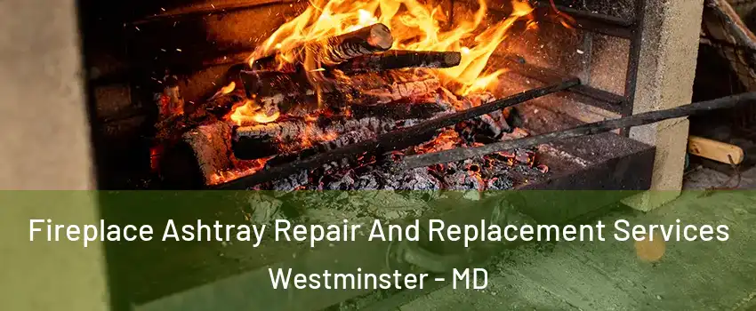  Fireplace Ashtray Repair And Replacement Services Westminster - MD