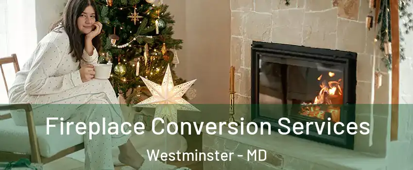  Fireplace Conversion Services Westminster - MD