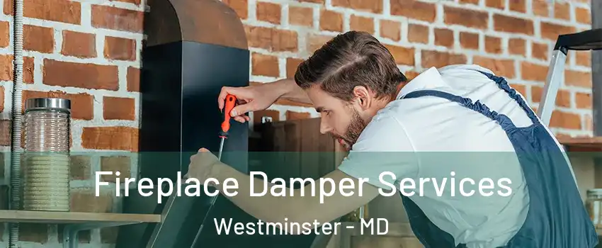  Fireplace Damper Services Westminster - MD