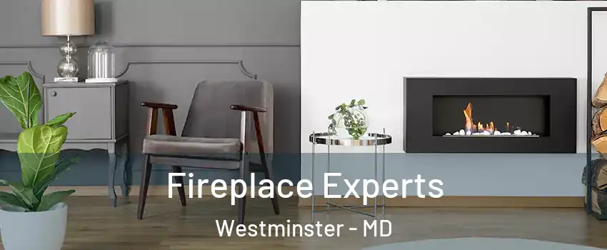  Fireplace Experts Westminster - MD