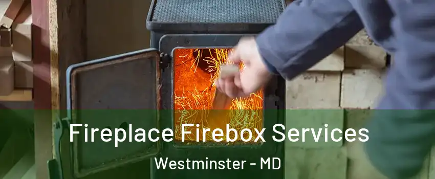  Fireplace Firebox Services Westminster - MD