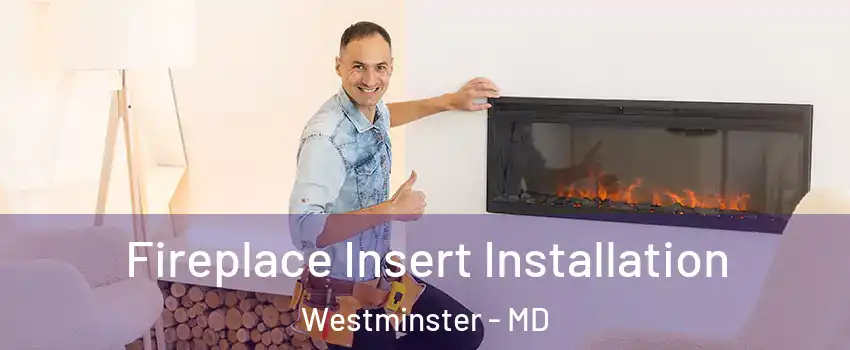  Fireplace Insert Installation Westminster - MD