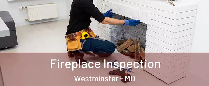  Fireplace Inspection Westminster - MD