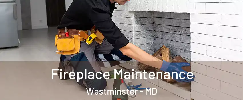  Fireplace Maintenance Westminster - MD