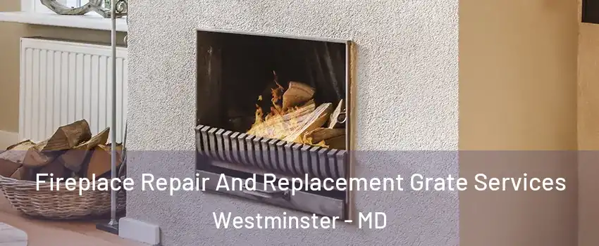  Fireplace Repair And Replacement Grate Services Westminster - MD
