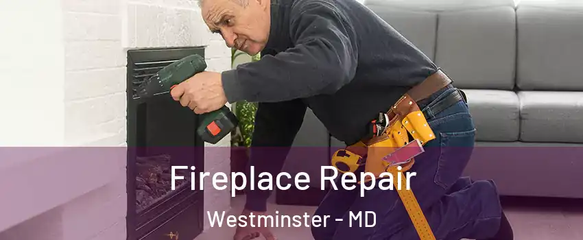  Fireplace Repair Westminster - MD