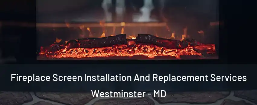  Fireplace Screen Installation And Replacement Services Westminster - MD