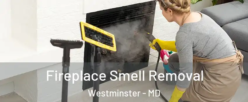  Fireplace Smell Removal Westminster - MD