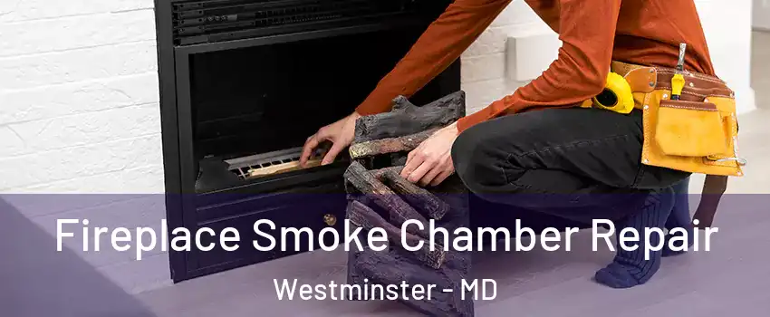  Fireplace Smoke Chamber Repair Westminster - MD