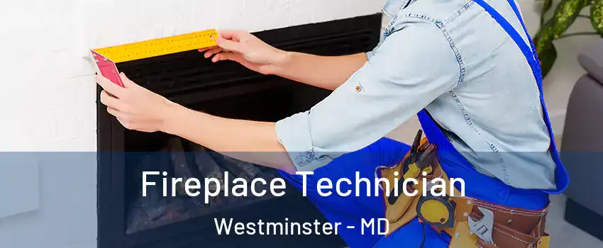  Fireplace Technician Westminster - MD