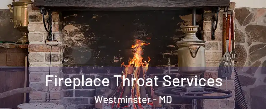  Fireplace Throat Services Westminster - MD