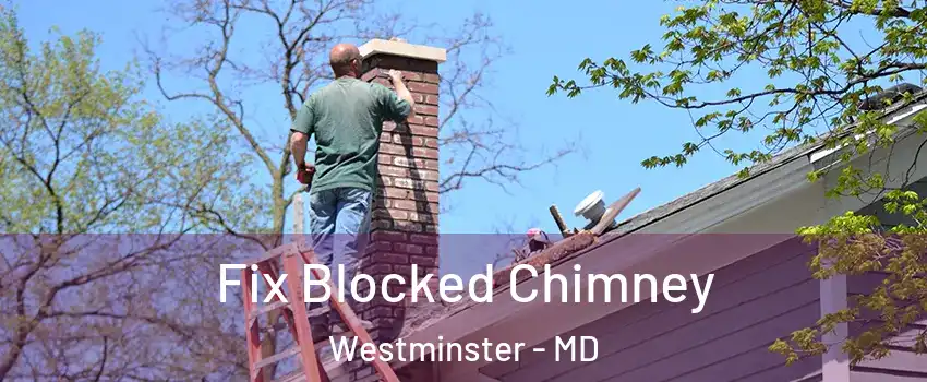  Fix Blocked Chimney Westminster - MD