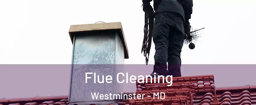  Flue Cleaning Westminster - MD
