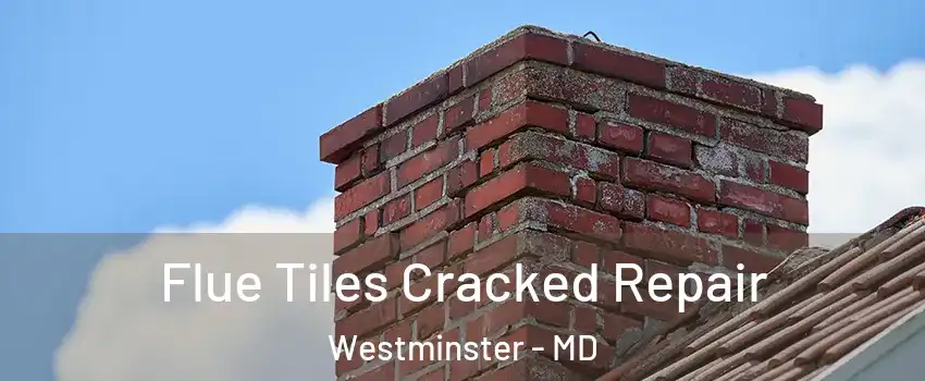  Flue Tiles Cracked Repair Westminster - MD