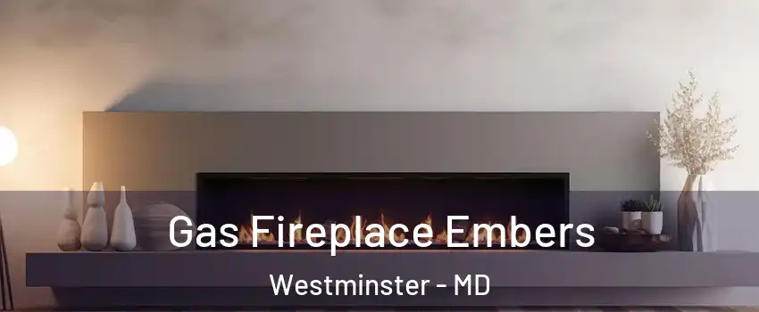  Gas Fireplace Embers Westminster - MD