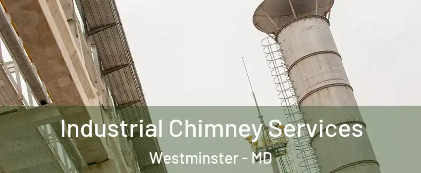  Industrial Chimney Services Westminster - MD