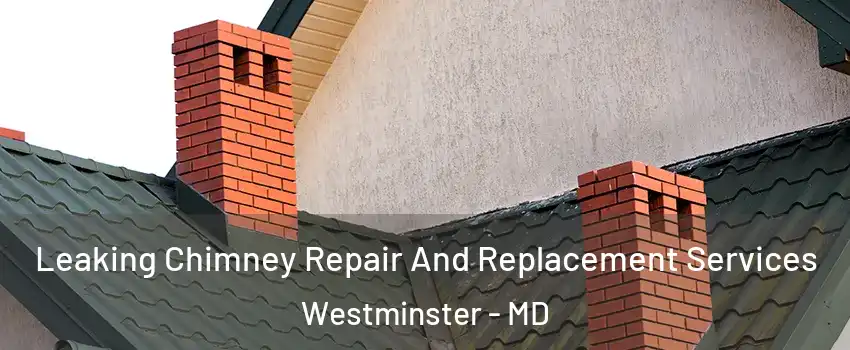  Leaking Chimney Repair And Replacement Services Westminster - MD
