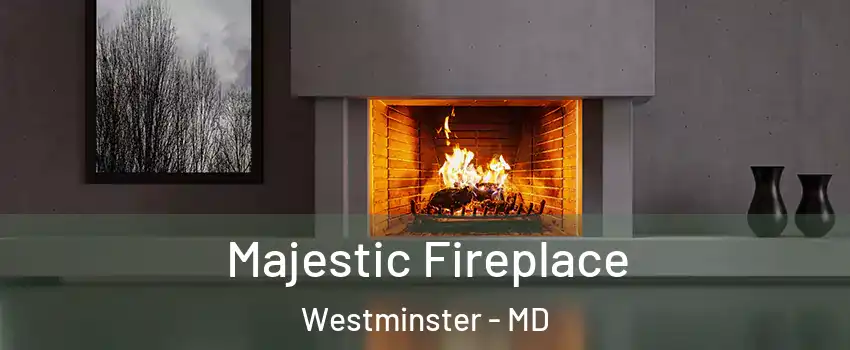  Majestic Fireplace Westminster - MD