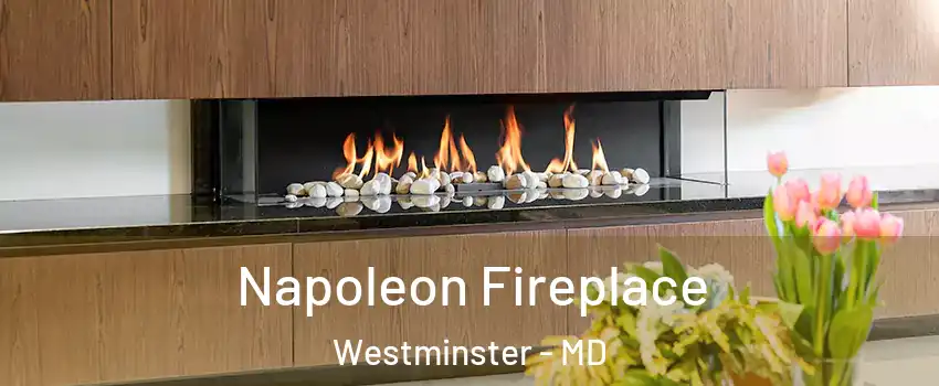  Napoleon Fireplace Westminster - MD