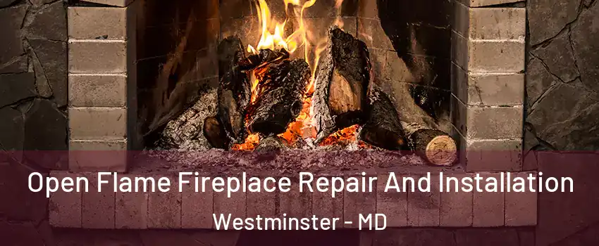  Open Flame Fireplace Repair And Installation Westminster - MD