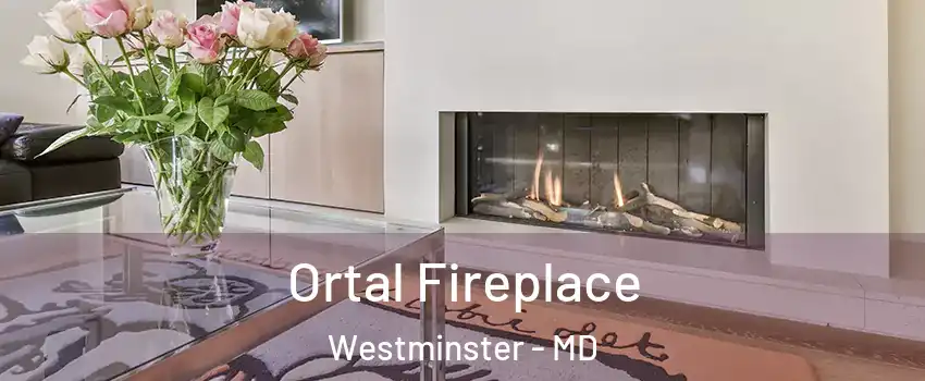  Ortal Fireplace Westminster - MD