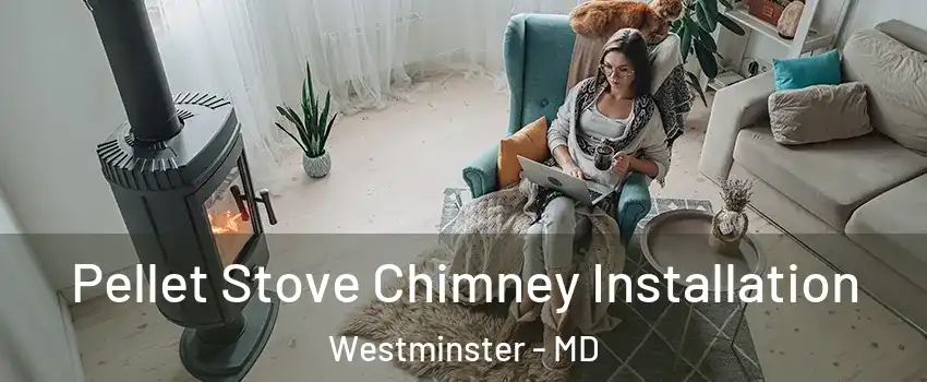  Pellet Stove Chimney Installation Westminster - MD